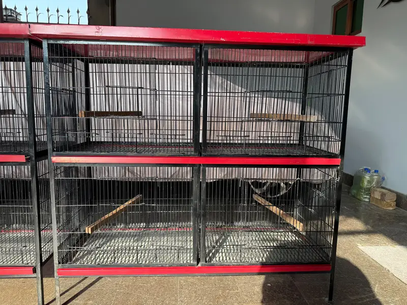 Heavy Strong Cages Pair for Sale. For All Kind of Birds — photo 2