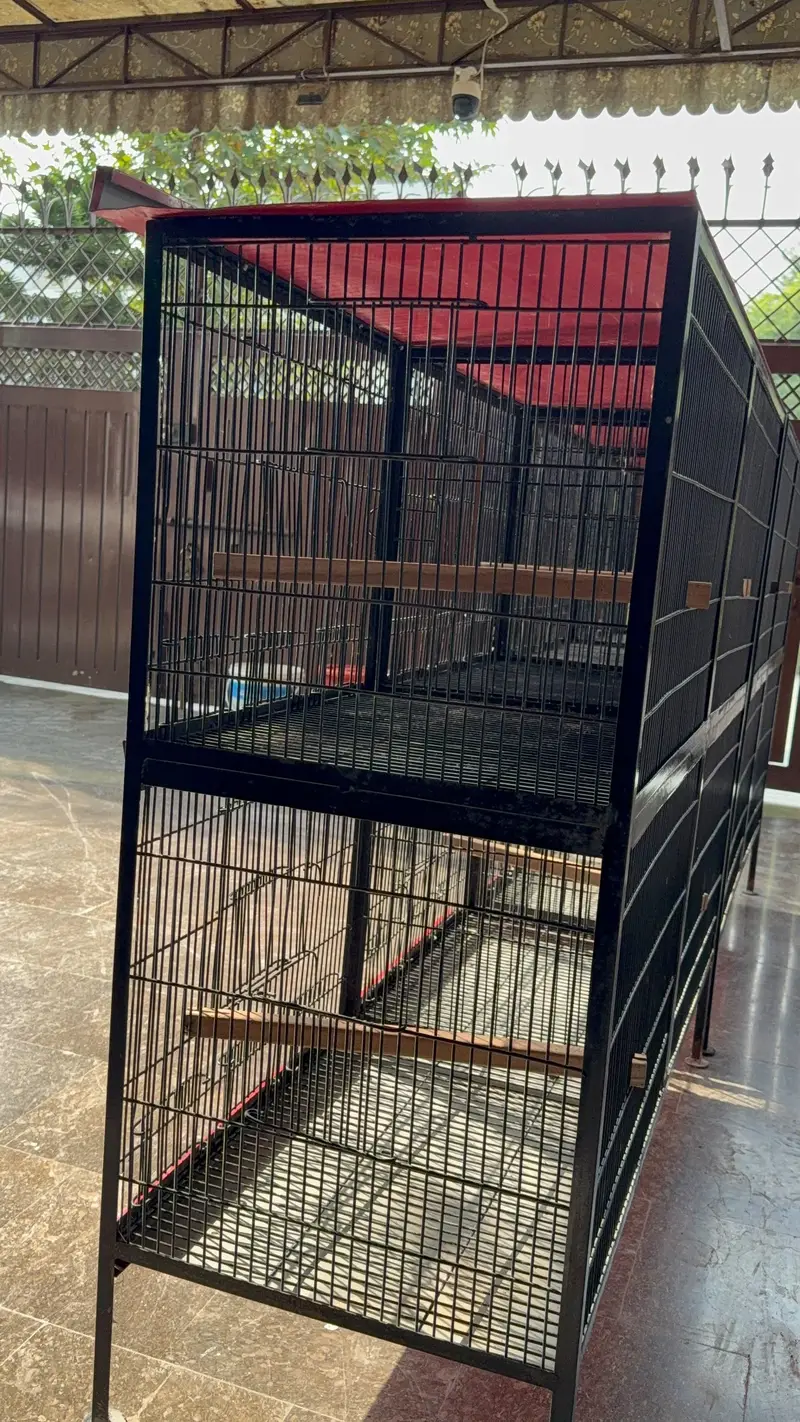 Heavy Strong Cages Pair for Sale. For All Kind of Birds — photo 4