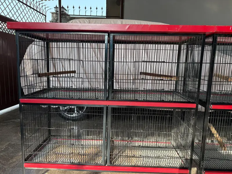 Heavy Strong Cages Pair for Sale. For All Kind of Birds — photo 5