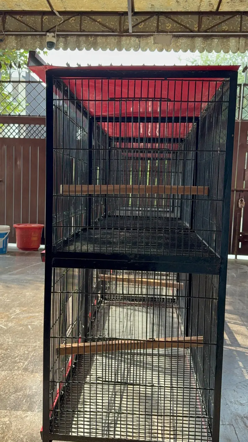 Heavy Strong Cages Pair for Sale. For All Kind of Birds — photo 6