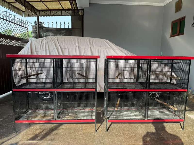 Heavy Strong Cages Pair for Sale. For All Kind of Birds — photo 7