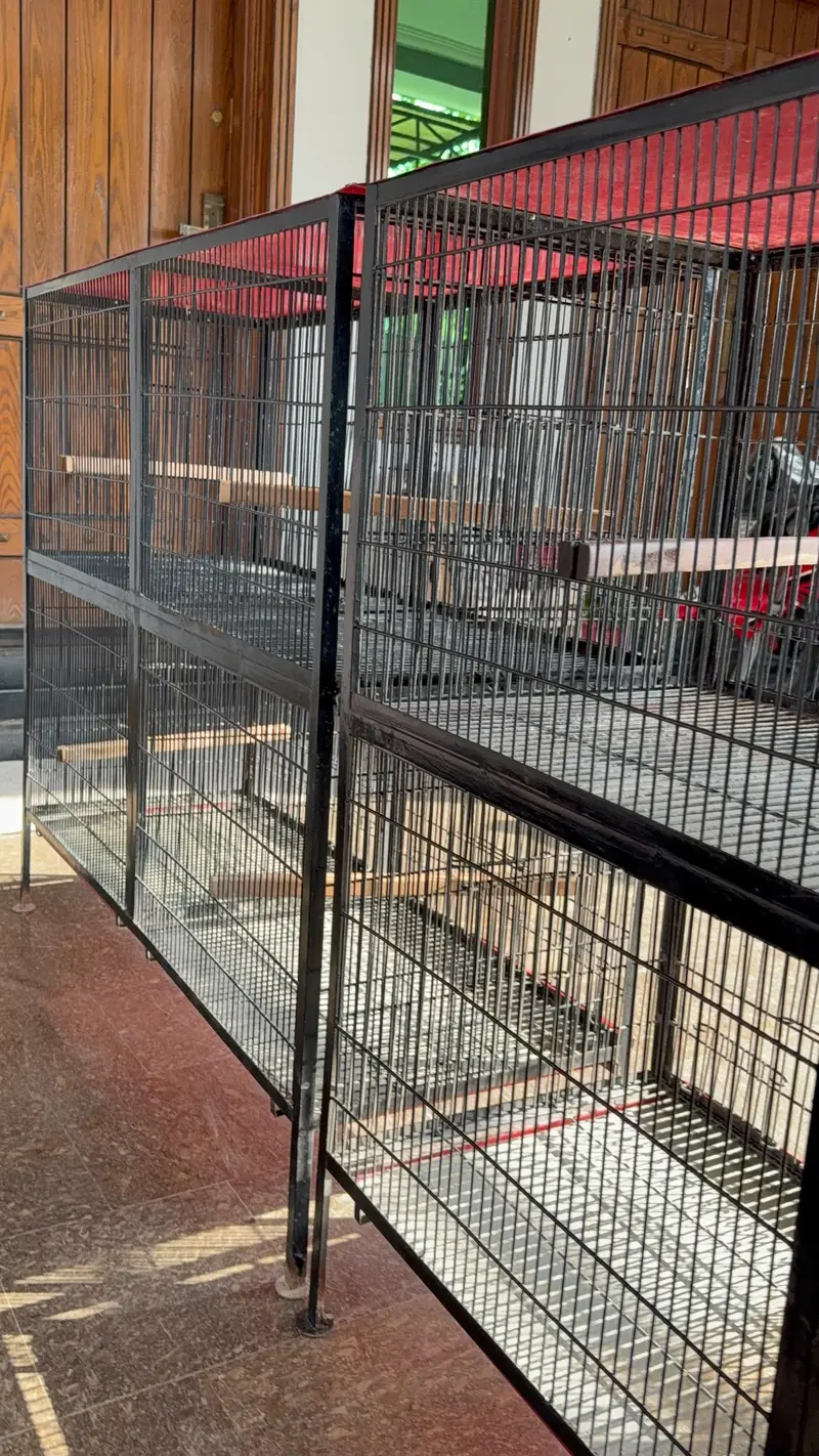 Heavy Strong Cages Pair for Sale. For All Kind of Birds — photo 8