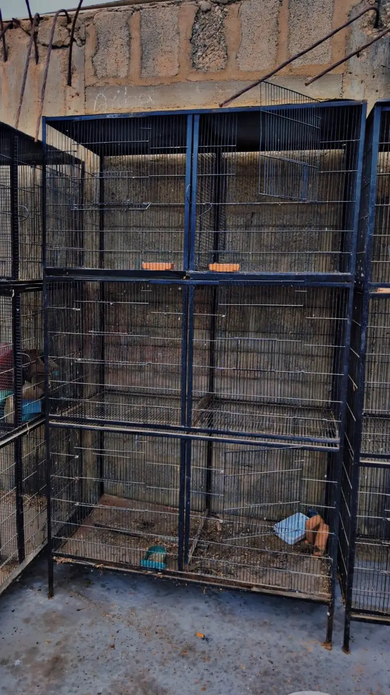 cages for sale — photo 5