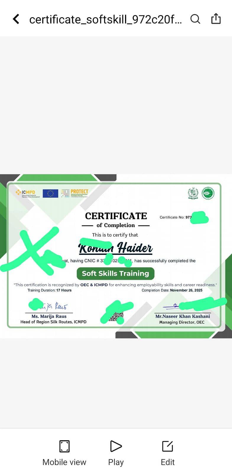 SOFT SKILL 0
