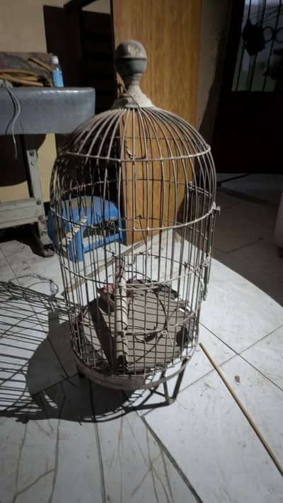 Bird Cage – Large Size