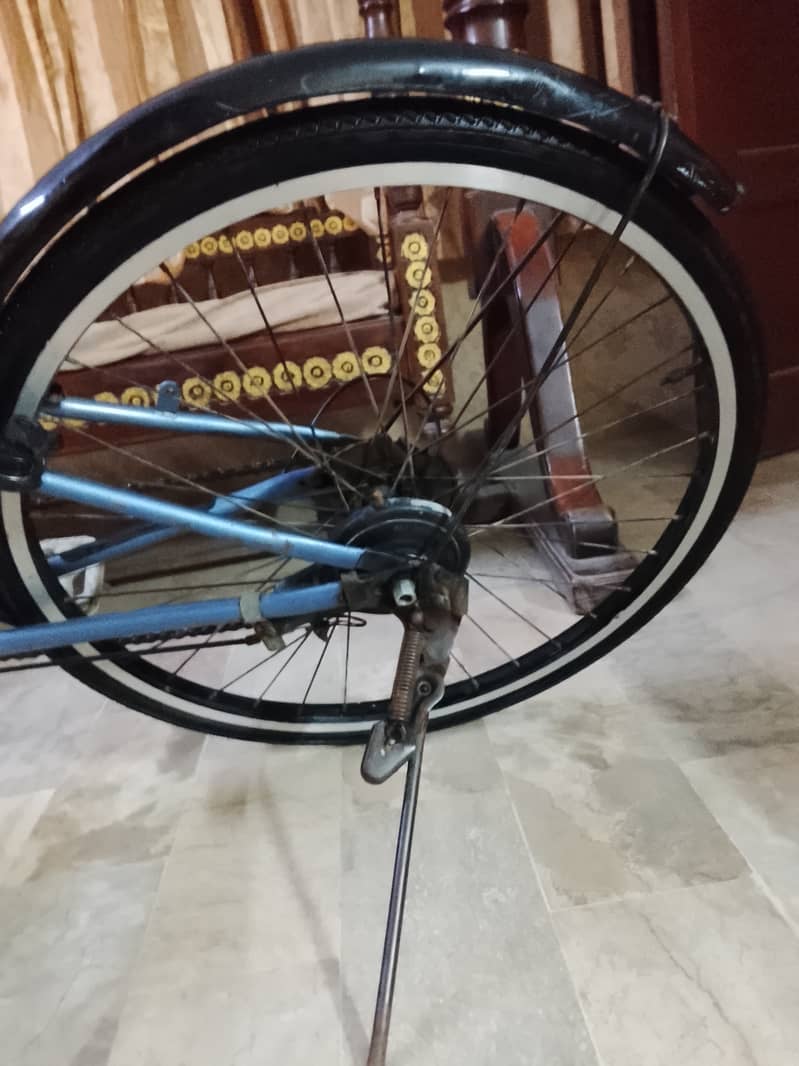 Imported Bicycle 1