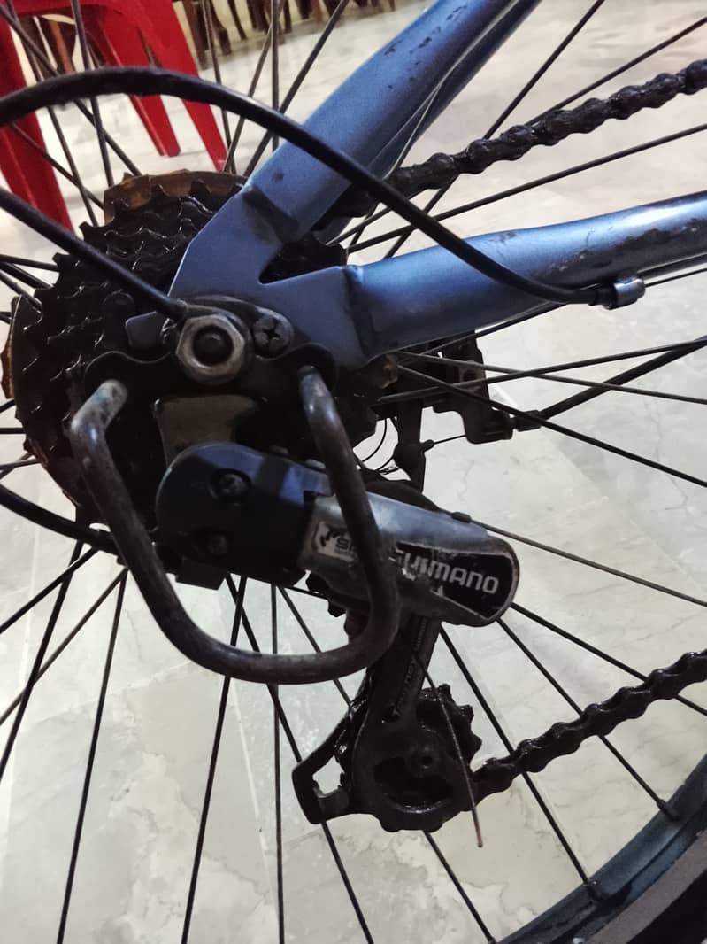 Imported Bicycle 2