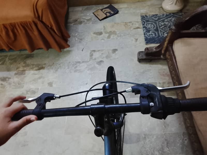 Imported Bicycle 4