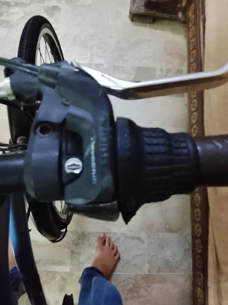 Imported Bicycle 5
