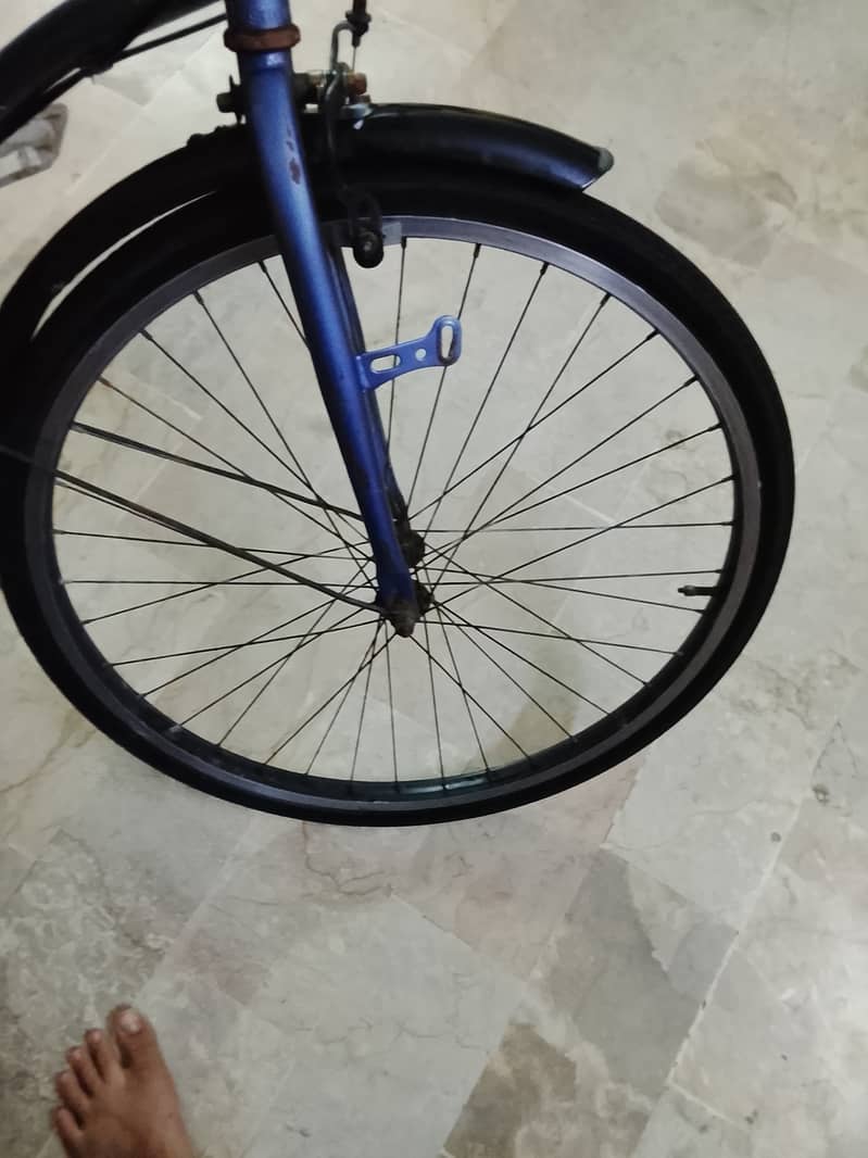 Imported Bicycle 6