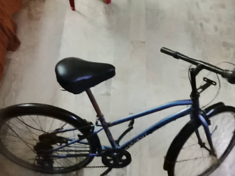 Imported Bicycle 7