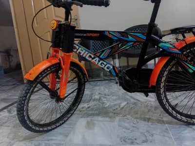 Chicago bicycle