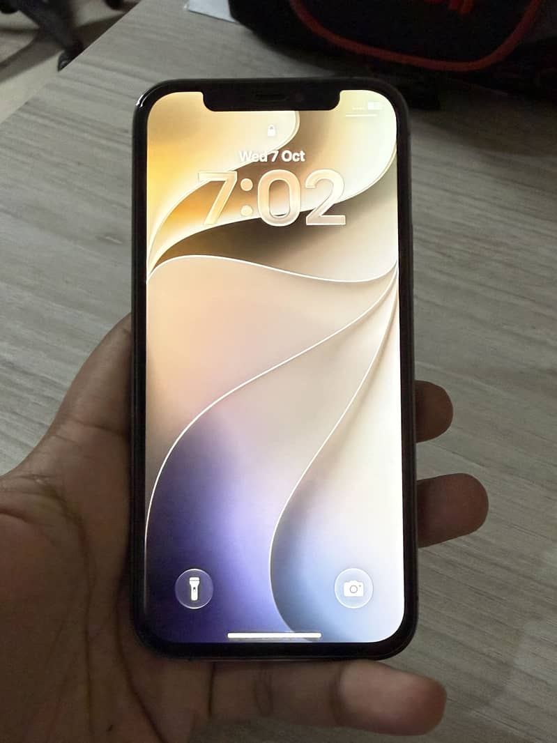 Apple iPhone 12 Pro 4