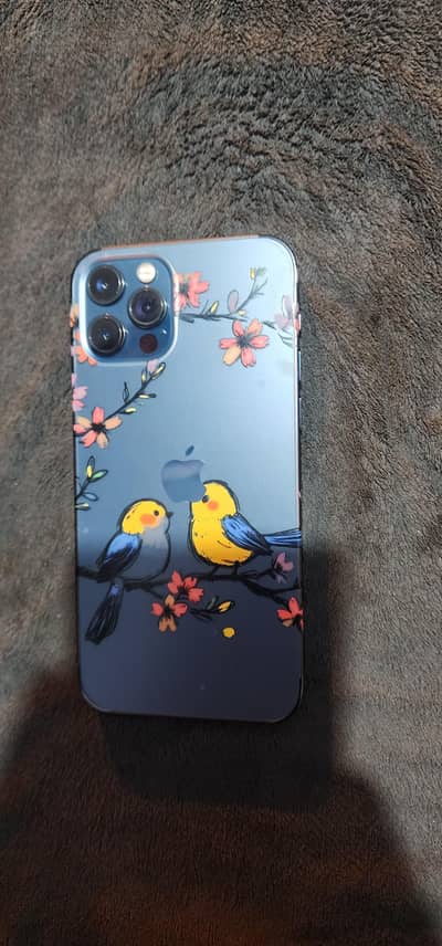 Apple iPhone 12 Pro