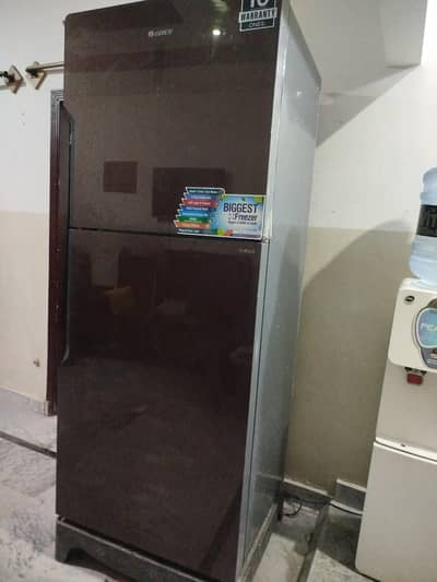 gree jambo Fridge