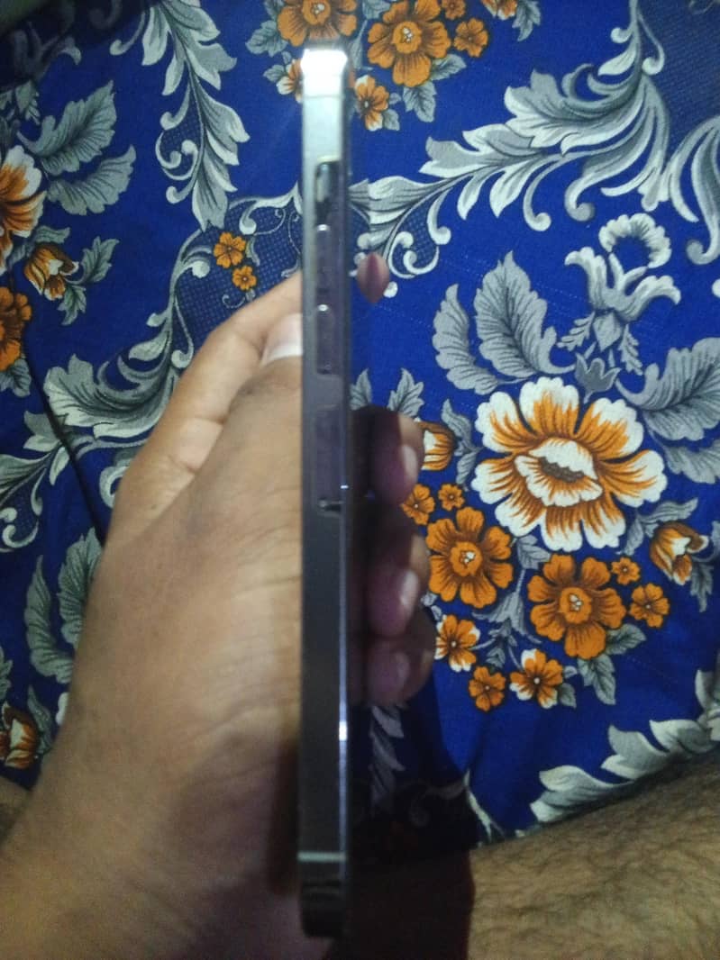 Apple iPhone 13 Pro Max 3