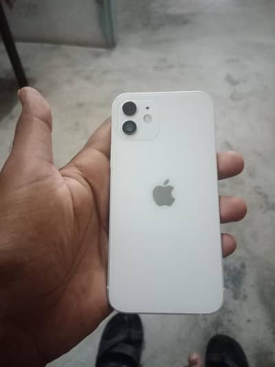 Apple iPhone 12