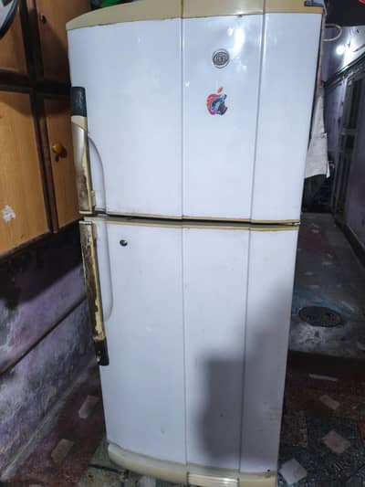 PEL 15 Cubic Meter Fridge Excellent working