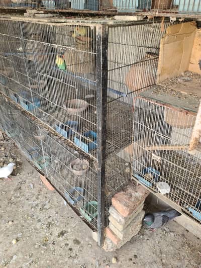 parrot cage 6 khane 2×2