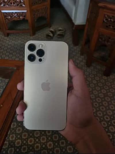 Apple iPhone 12 Pro Max