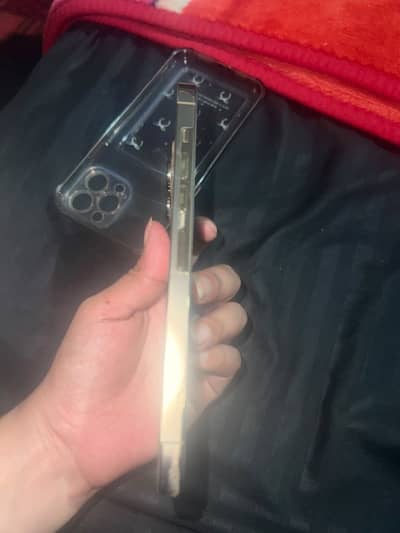 13 pro max