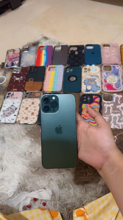 Apple iPhone 13 Pro Max