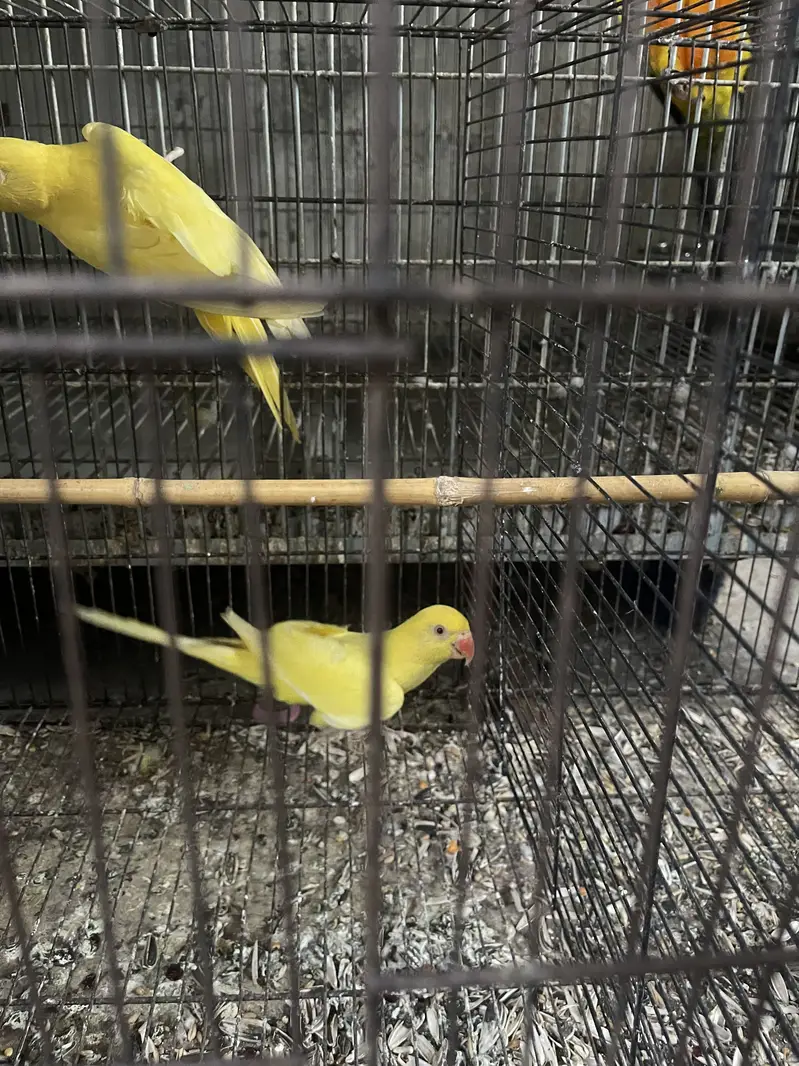 Other — photo 2