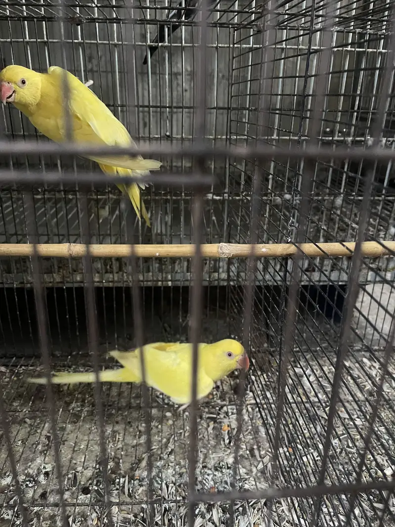 Other — photo 3