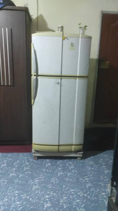PEL fridge