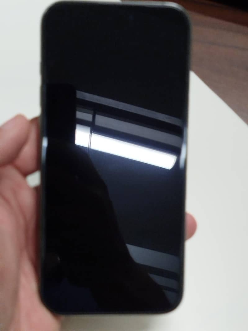Apple iPhone 16 Pro Max 15