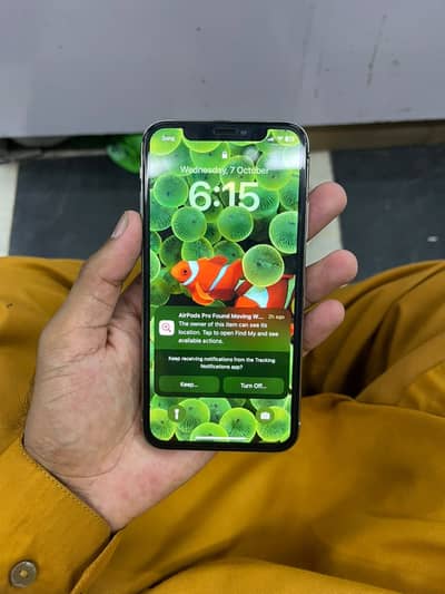 Apple iPhone X