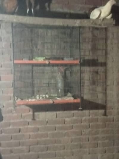 iron cage Double porstion
