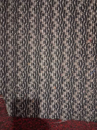 Floor Carpet size 19x12 good 10x10 condition 01 year used no damage