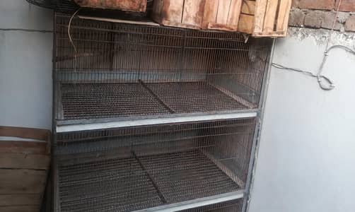 large size iron cage for sale