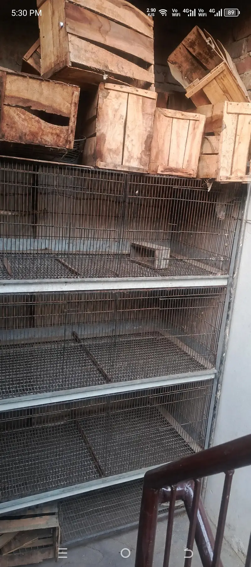 large size iron cage for sale — photo 2