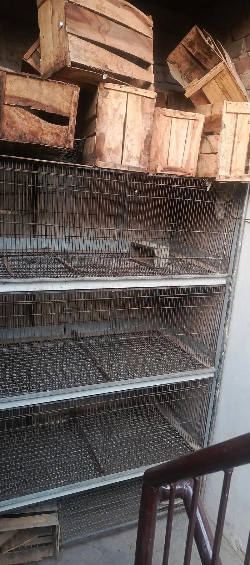 large size iron cage for sale — photo 3