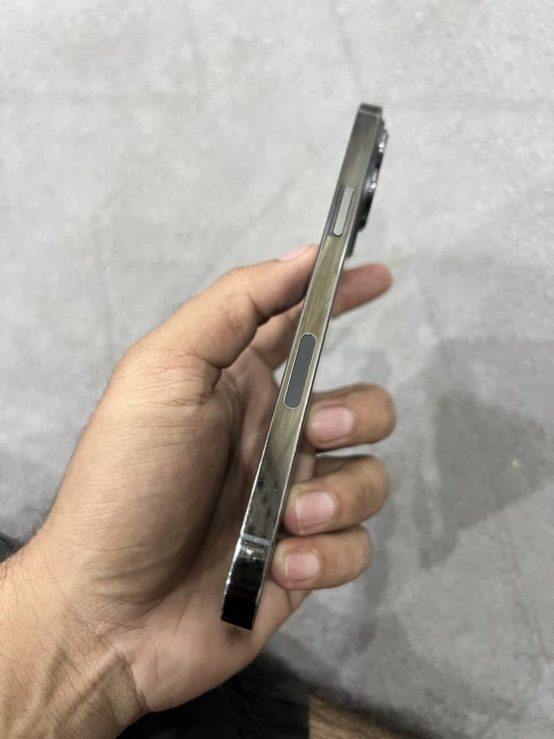 iPhone 13 Pro Max 1