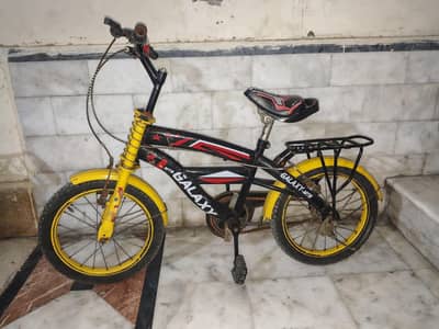 0/3/0/0/6/6/5/1/2/7/1   only 1 year use cycle Size "16