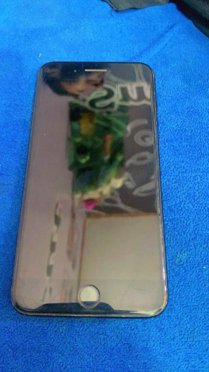 Apple iPhone 7 Plus 0