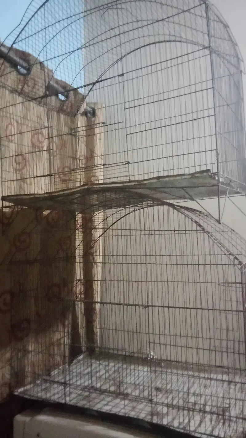 birds cage — photo 2