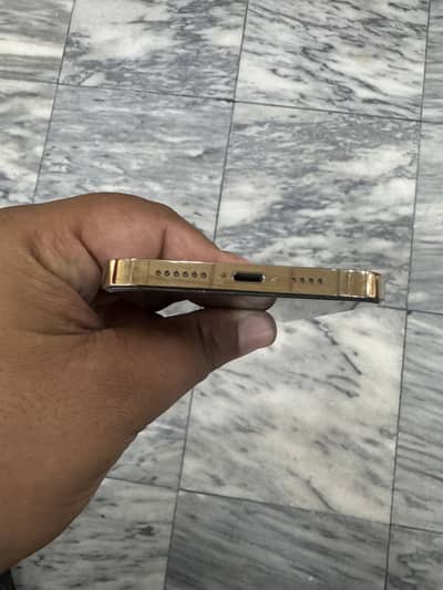 12 pro max pta approved