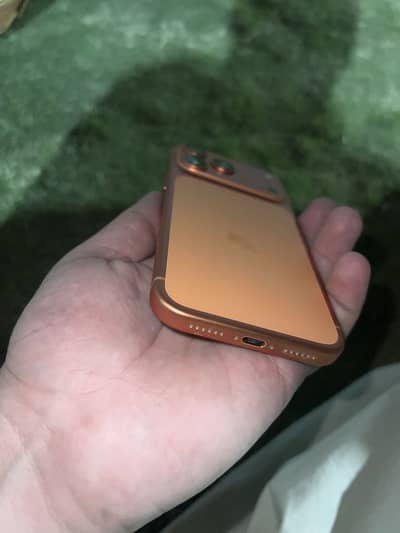 Apple iPhone 17 Pro Max - jv - no box