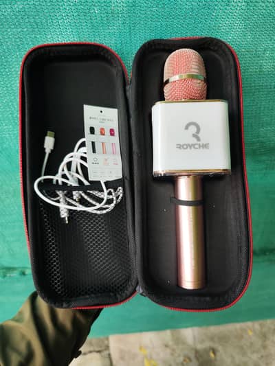Royche Karaoke Mic
