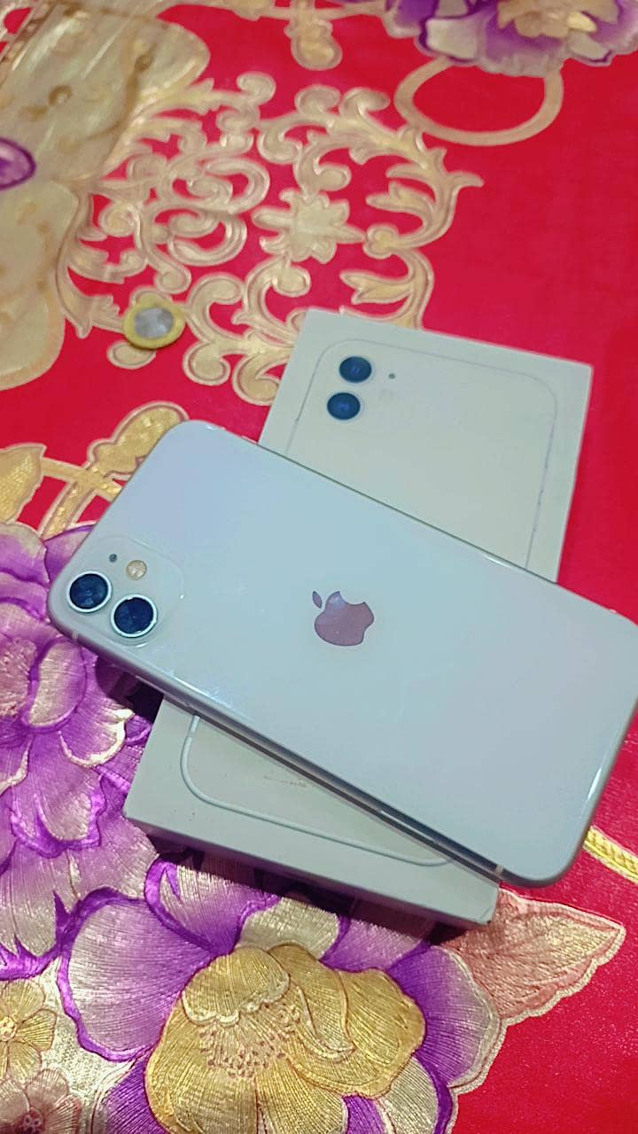 Apple iPhone 11 0