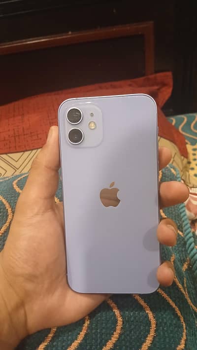 Apple iPhone 12