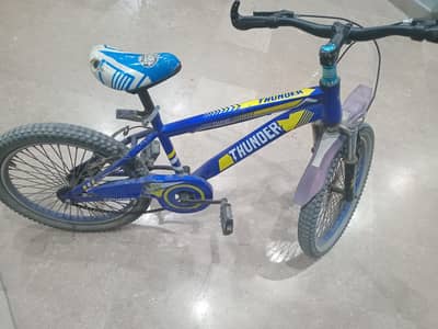 mountain bicycle