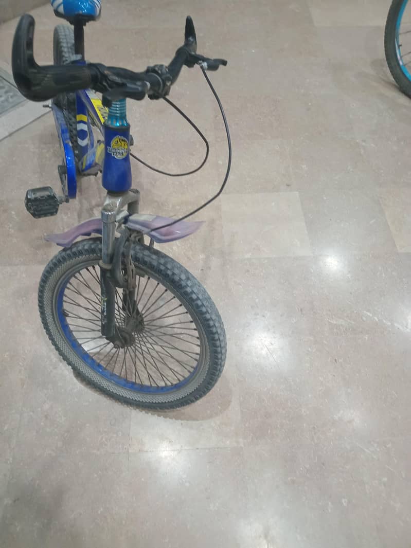 mountain bicycle 1