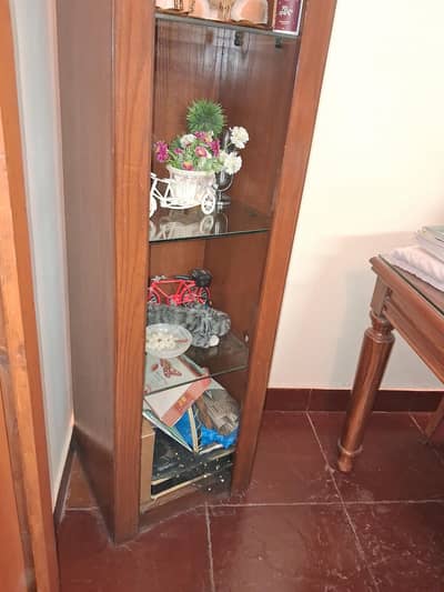 TV console and shelf unit