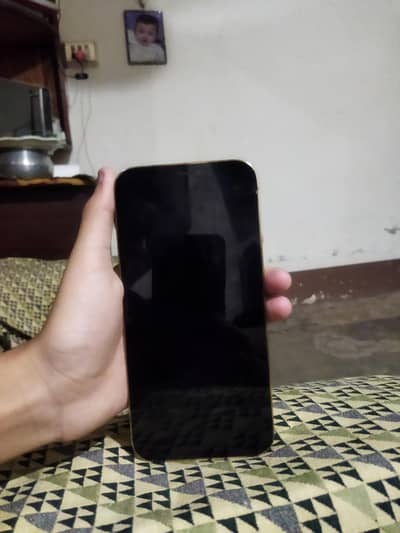 Apple iPhone 12 Pro Max
