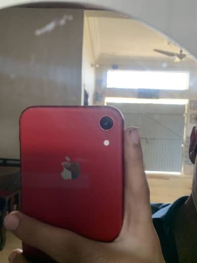 Apple iPhone XR Nhi